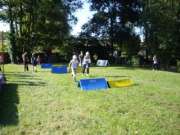 le saut de haies